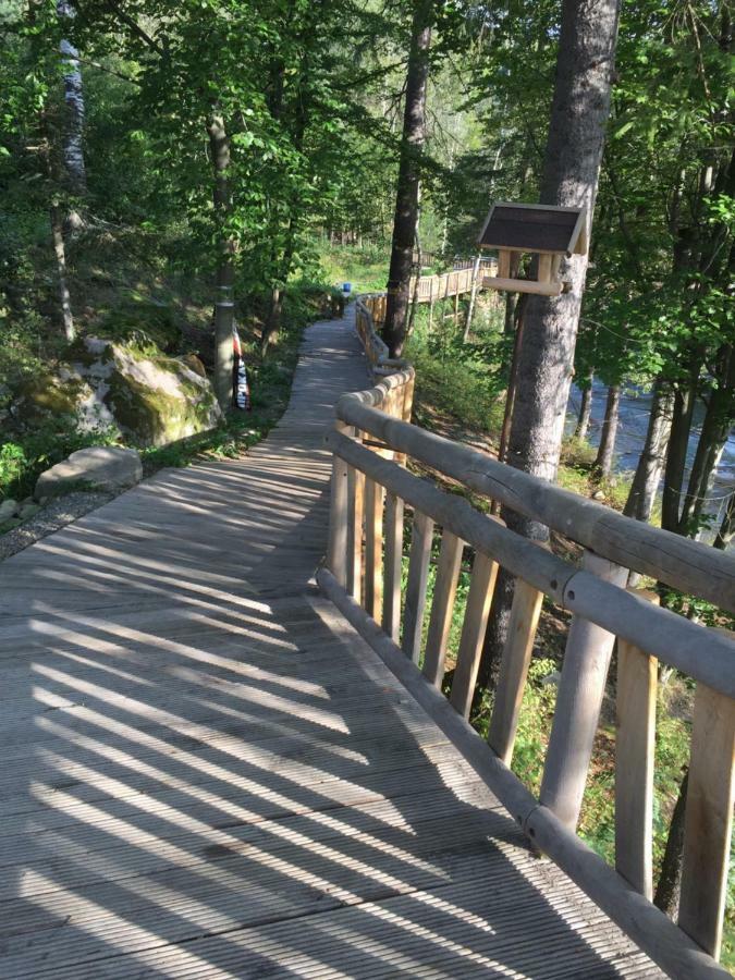 червона калина Private Estate Chervona Kalyna Pensjonat